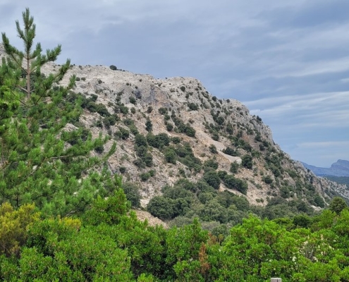 Bergstraße SS125, Sardinien