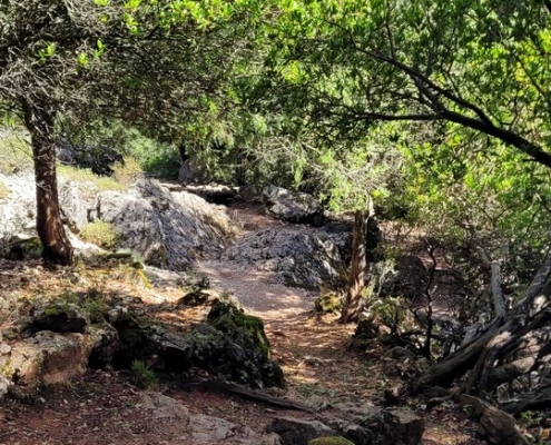 Gorropu-Schlucht, Sardinien
