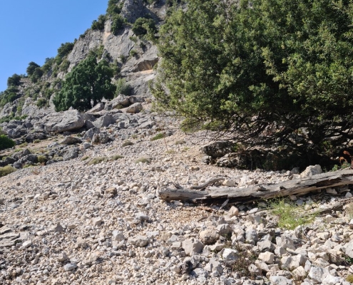Gorropu-Schlucht, Sardinien