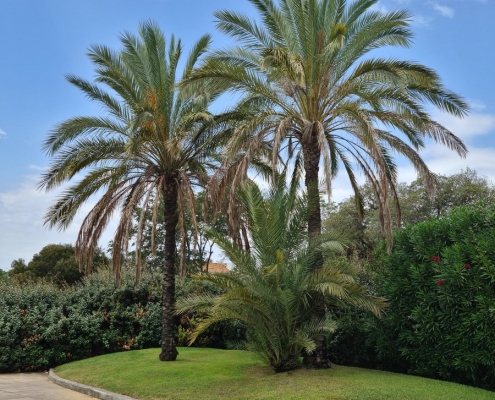 Arbatax, Sardinien