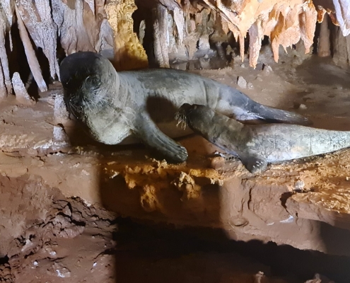 Grotta del Bue Marino, Sardinien