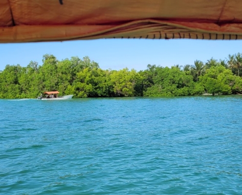 Blue Safari, Sansibar