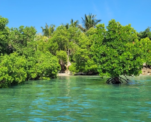 Blue Safari, Sansibar