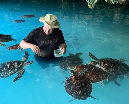 Blue Safari, Sansibar
