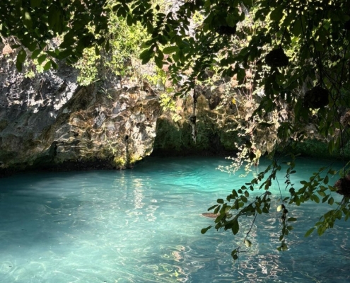 Blue Safari, Sansibar
