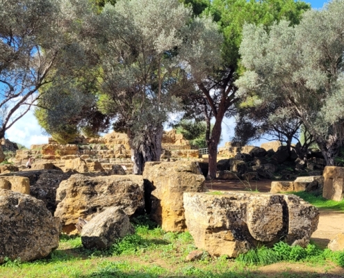 Sizilien_2026_Agrigent_13 Tempel von Agrigent, Sizilien