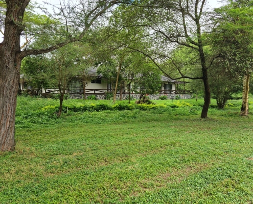 golf4 Golfplatz in Arusha, Tansania