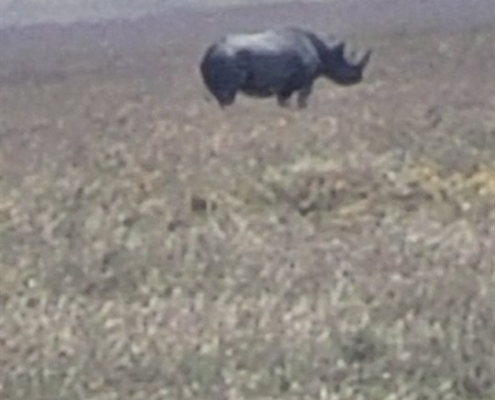 krater2 Ngorongoro-Krater, Tansania