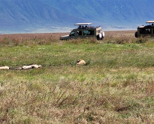 krater3 Ngorongoro-Krater, Tansania