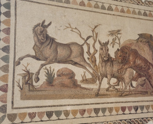 roemische_villa6 Römische Villa mit Mosaiken in El Jem, Tunesien